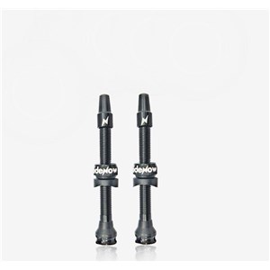 ZAWORKI BEZDĘTKOWE RIDENOW TUBELESS 45 MM SV