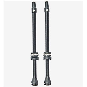 ZAWORKI BEZDĘTKOWE RIDENOW TUBELESS 110 MM SV