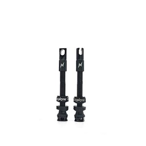 ZAWORKI RIDENOW TUBELESS PLUS KIT 45 MM FV