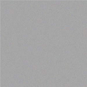 LAKIER SREBRNY CHAMPION 400ML RAL9006