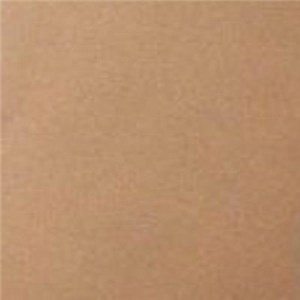 LAKIER CHAMPION MIEDZIANY 400ML