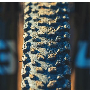 OPONA 29x2.4 AM CLASSIC MAUKA DC 60TPI TLR