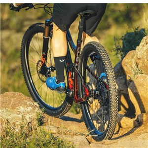 OPONA 29x2.4 AM CLASSIC MAUKA DC 60TPI TLR