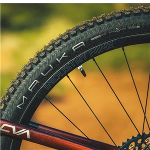 OPONA 29x2.25 AM CLASSIC MAUKA DC 60TPI TLR