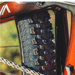 OPONA 29x2.25 AM CLASSIC MAUKA DC 60TPI TLR